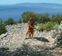 Bella Croata Vacacionando (8)