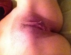 Alexia latina mostrando la concha (8)