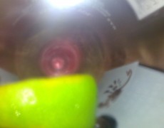 Belleza chilena selfie porno (38)